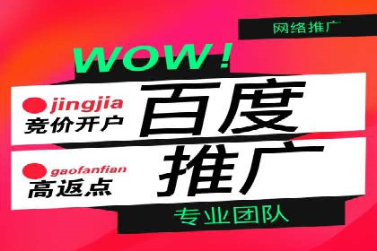 百度SEM竞价推广实战技巧，案例分享成功之道